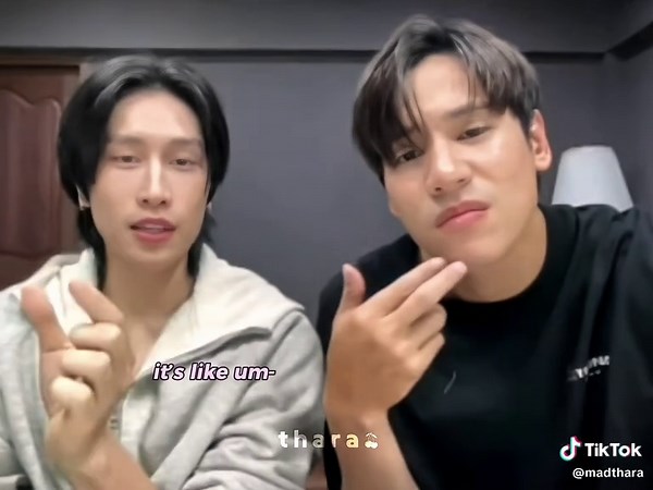 Exploring Edible Cockroaches: A Hilarious Conversation