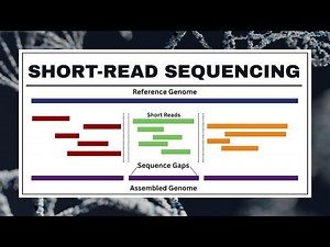 Short-Read Sequencing Explained: Illumina, PacBio Onso, Applications & Limitations | NGS Short Reads