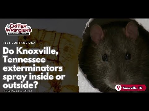 Do Knoxville Tennessee exterminators spray inside or outside?