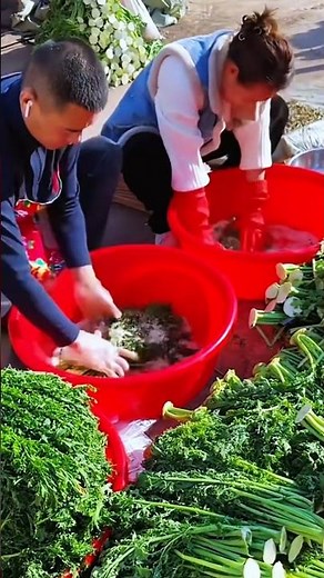 Celery Cleaning: Crisp freshness in every stalk!