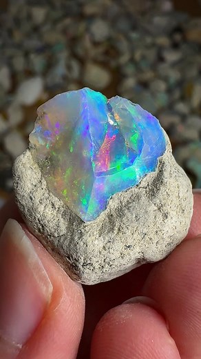 From ancient legends to modern science, opals have fascinated humans for centuries 🔮 | Spirit Nectar