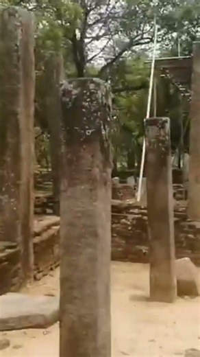 සියලු ලෝවැසියන් නිරෝගී වෙත්වා🙏🙏 #bimba_devi_yashodhara #youtubeshorts #buddha #tiktok