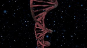 無料動画 - Dna, 医学, 生物学, 理科, リサーチ, 化学, ヘリックス