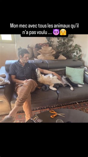 Le Biquette Club on Instagram: "13 ans de vie commune, on est passé de : c'est mort on prends pas de chien ! (OK pour un chat si vraiiiiiment j'ai pas le choix) à 2 chiens, 4 chats, 3 poules, 2 chevaux et 34 biquettes 😅 Le pire c'est qu'il a pas l'air de se plaindre... Allez c'est quoi la prochaine recrue que j'arrive à lui faire adopter à ton avis ?"