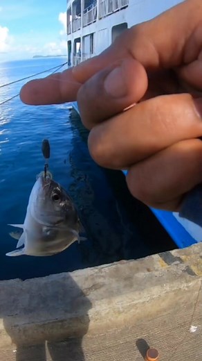 basic way of catching talakitok #benzalammang #teamkomekinsan #followerseveryone #followersシ゚ #everyonehighlights #everyonefollowers #fishing #follower #fishingislife | Benzal Ammang