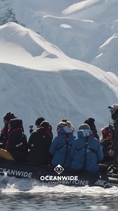 83 reactions · 14 shares | Discover Antarctica's wildlife with Oceanwide Expeditions. Experience an unforgettable trip to Antarctica and see six penguin species, unusual birds and much more. Antarctica has so much to offer in terms of nature and wildlife. Discover it with us! | Oceanwide Expeditions | Facebook