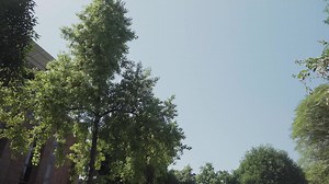 1.2K views | Early Admissions Fall 2024 are Open. BNU -School of...