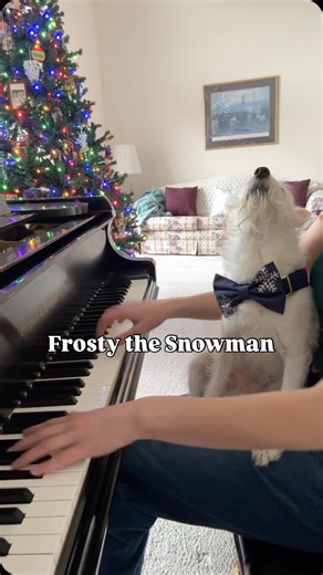 Kara Mehrmann | Day 13 of A Very Bradford Holiday ☃️ Today’s tune: Frosty the Snowman. Bradford’s winter look comes courtesy of the Snowflakes Embroidered... | Instagram