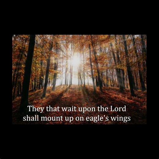 They That Wait Upon the Lord #viral #viralvideo #isaiah4031 #viralmusicvideo #isaiah
