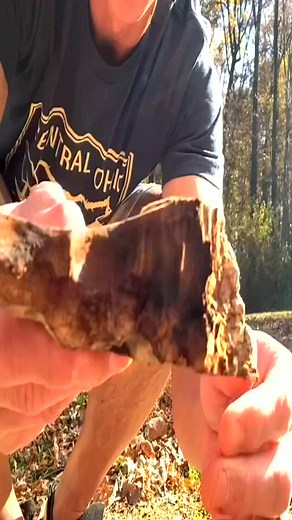 #fungi #bowdrill #frictionfire #fungus #mushroom #artistconk #conk #wildernessskills #bushcraft #wil | Wildcrafting