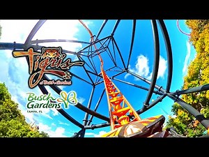 [4K] Tigris - Roller Coaster | Front Row POV | Busch Gardens Tampa Bay | 2024-8-31