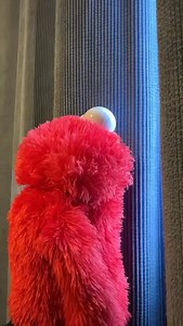 125K views · 36K reactions | Elmo’s spying on the neighbours again. #elmo #elmomemes #funnyvideos #elmostruggles | Britmanspeaks | Facebook