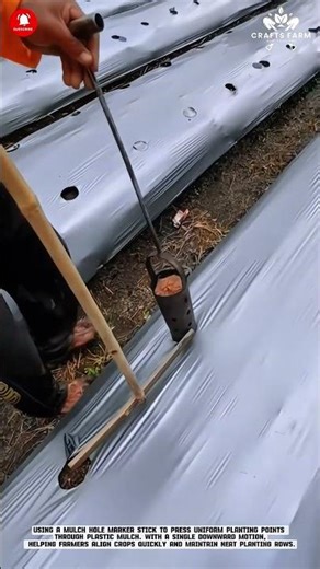 Mulch Hole Marker Stick: Fast and Accurate Planting Point Layout #smartfarming #gardeningtips