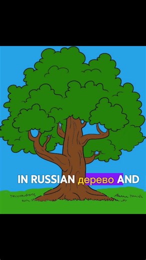 -Learn Russian words- With English translation