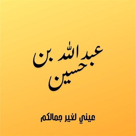 عيني لغير جمالكم (Preview)
