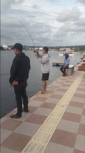 Prosedur Teknis Mancing Teknik Apung di Pinggir Laut #mancing #fishing #mancingikan #mancingceria