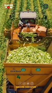 62K views · 39 reactions | Witness the incredible efficiency of...