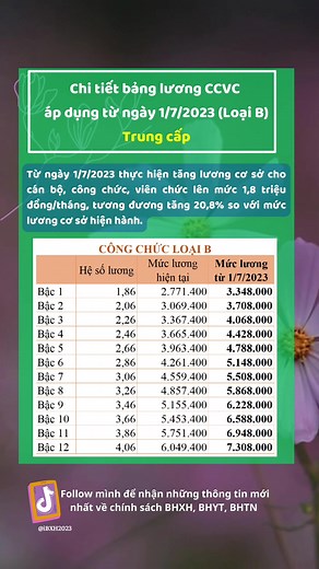 Trả lời @ThanhHuy23.11.90 chi tiết bảng lương CCVC từ 1/7/2023 loại B(Trung cấp) #FoodFestOnTikTok #01072023 #bhxh1lan #tangluong #ccvc #bhxh1lan #bhxh #xuhuong #vssid #CapCut