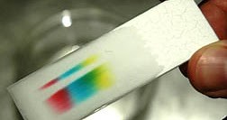 #104 Separating chlorophyll pigments by Thin layer chromatography (TLC)