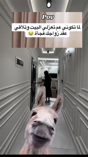 CapCut Meme Creation for Side Hustle Success