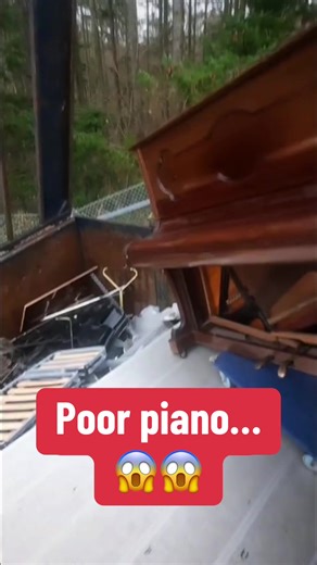 Newzik App: Manage Your Sheet Music Easily