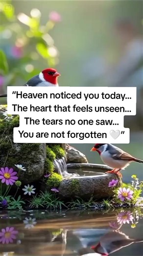 Heaven is Noticing Your Heart: A Prayer Journal Guide