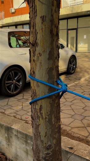 Entice Studio on Instagram: "Easy method to tie a clothesline knot #easy #method #tie #clothesline #knot"