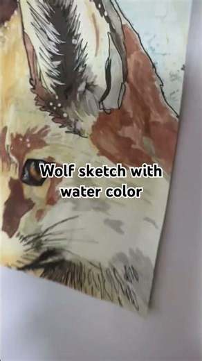 Wolf sketch with water color effect #sketchartist #youngartist #animeart #animedrawing