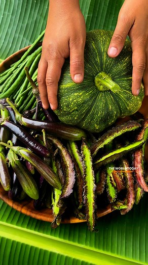 FRESH NA FRESH!🌱Ano kaya ang masarap na luto nito? #buhayprobinsya #pagkaingpinoy #gulayislife #fresh #harvest #lutongbahay #lutongpinoy #food #foodie #vegetables #culture #traditional #cooking #trendingreels #trending #trend #virals #viralvideo #yummyfood #cooking #Philippines #pagkaingpinoy #ilocanoreels #ilocanofood #pinoyfood #KMJS #OFW #nature #foodlover #entertainment | The World Today Entertainment