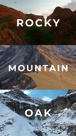 ChamClad on Instagram: "New ChamClad-exclusive finishes are coming to our line up this year! This finish captures the natural beauty and texture of oak with a modern edge, bringing warmth and elegance to any project. Stay tuned for more exclusive designs that redefine what’s possible with ChamClad."