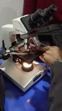 how to use microscope🔬 #2025 #microscope #howtousemicroscope #viewmicrobirs