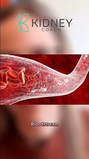 How to Test for Heavy Metals in Body? | Heavy Metals Detection