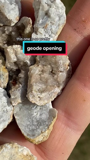 Judge Froggy presiding over Geode Court