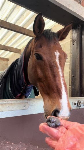Discovering Where the Beans Hide in Sheath Cleaning