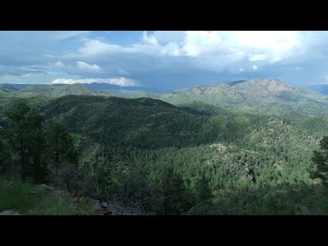 Driving U.S. Route 191 in Arizona. Scenic Road and Wildlife.