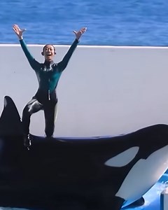 1.4M views · 20K reactions | Swimming with Orcas ‍♀️ | Lilyon DIY | Facebook