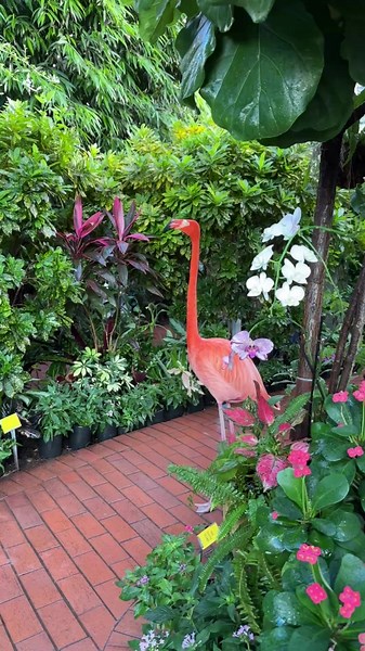 The Key West Butterfly & Nature Conservatory on Reels