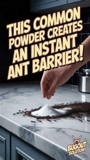 This Common Powder Creates an Instant Ant Barrier!