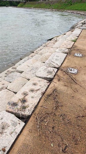 令和8年6月27日大雨後の後楽園周辺旭川の様子 #河川 #岡山城