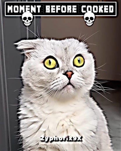 “This Troll Face Prank Took a DARK Turn… 😳💀 (Nobody Saw This Coming!)” #funny #usa