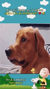 🥰😆🐶 | Charlie Brown Sincero