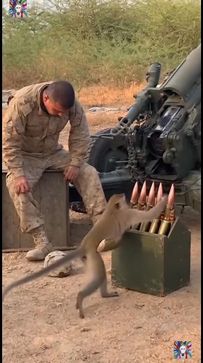 #tvshow #inspirational #drama #funny #humor #parenting #comedy | idea life