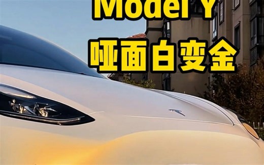 特斯拉modely改什么颜色好看呢
