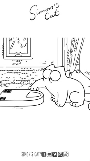 The adventure continues...in our latest special 'Packed Lunch - Cat Sitting Pt.2' > https://www.youtube.com/watch?v=buQ7eanV5BU 😘 | Simon's Cat