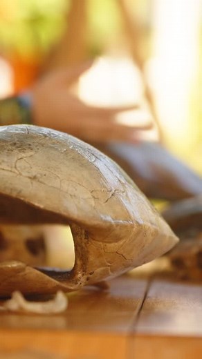 30 reactions · 3 comments | It’s a magical experience getting to work with these cute little turtles and watch them crawl into the ocean for the first time ever. It’s all a part of the magic of Rust 2 Rome and in this case a big part of the Rust 2 Mexico adventure… will you be releasing the turtles with us in 2026? | Rust2Rome | Facebook