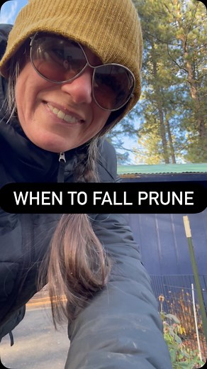 When do you prune your plants? Fall plants will tell you when it's...