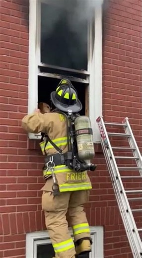 Real-Life Hero Saves Dogs From Fire ❤️🐶 #shorts