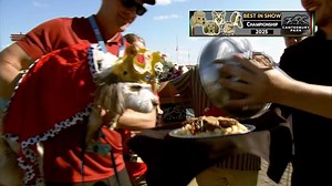 Canterbury Park on Reels