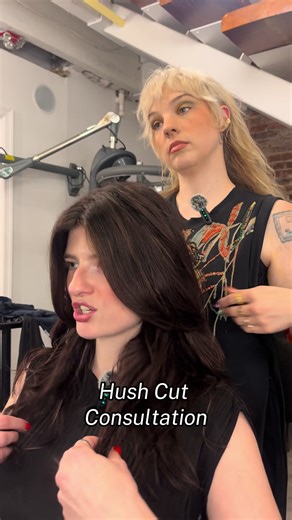 Consulta de corte de cabello con Sumner