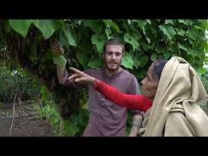 About the Peace Corps – Environment Service Sector